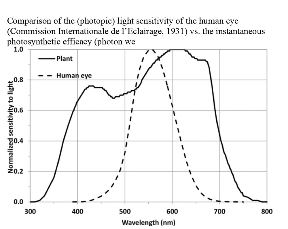 Grow Light Sensitivity