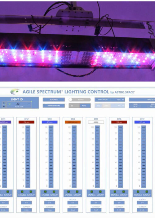 lighting-control-graphic